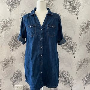 Mavi denim dress